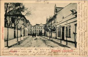 1902 Losonc, Lucenec; Sugár út, Városi Vigadó és szálló / street, redoute hotel