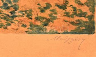 Medgyesy jelzéssel: Sátorozó hölgyek. Színezett rézkarc, papír, foltos, keretben, 29×24 cm