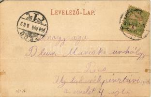 1904 Gombos, Bogojeva; Gőzkomp Gombos és Erdőd között a szabad Dunán, gőzmozdony kompra állítása. Sc...