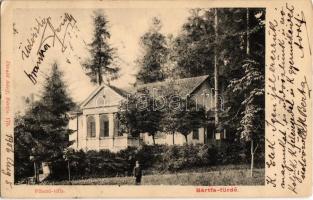 1906 Bártfafürdő, Bardejovské Kúpele, Bártfa, Bardiov; Pihenő villa. Divald Adolf 175. / villa (EK)