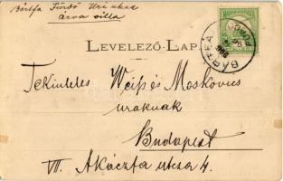 1906 Bártfafürdő, Bardejovské Kúpele, Bártfa, Bardiov; Pihenő villa. Divald Adolf 175. / villa (EK)