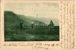 1904 Felsőbánya, Baia Sprie; Guttin tető. Túry József amatőr felvétele / Muntii Gutai / Gutin Mountains