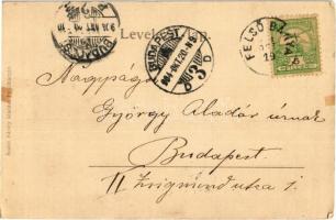 1904 Felsőbánya, Baia Sprie; Guttin tető. Túry József amatőr felvétele / Muntii Gutai / Gutin Mounta...