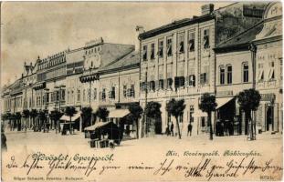 Eperjes, Presov; Királyi törvényszék, Rákóczi ház, Zeilendorf M. és Spira Miksa üzlete, piaci árusok / street view with court and shops, market vendors