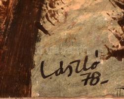 László jelzéssel: Fej. Olaj, karton, keretben, 30×26 cm