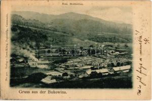 1900 Moldovita, Rusii Moldovita, Russisch Moldawitza; Timber mill, sawmill. Leon König No. 411. (EB)