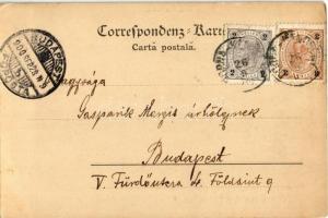 1900 Moldovita, Rusii Moldovita, Russisch Moldawitza; Timber mill, sawmill. Leon König No. 411. (EB)