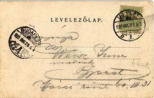 1902 Érd, Római katolikus templom, Török mecset és kápolna, Wimpffen grófi kastély. Stiegler Testvér...