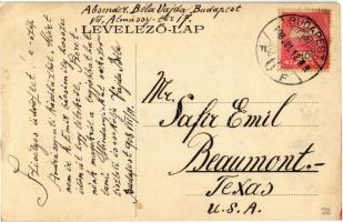 1908 Budapest VI. Salzer Albert Japán Kávéháza, belső, kiadja Rákos fényképész. Andrássy út 45. Art ...