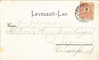 1898 Sopron, Oedenburg; Tornacsarnok, F. Rösch és F. Schneider, tornagyakorlat. Török és Kremszner k...