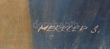 Merkler jelzéssel: Orgonás csendélet. Olaj, vászon, keretben, 60×80 cm