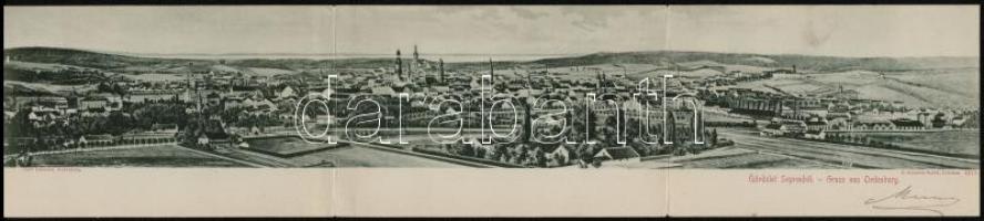 1899 Sopron, Oedenburg; három-részes kinyitható lap. O. Schleich / 3-tiled folding card