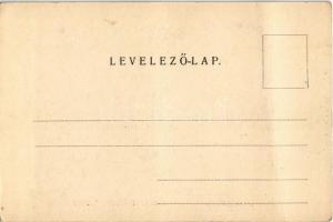 Szabadka, Subotica; Pest szálloda, villamos, Gyógyszertár. Kiadja Heumann Mór / hotel, tram, pharmac...