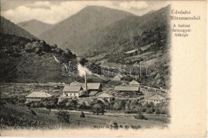 Batiza, Botiza (Máramaros); A fűrészgyár látképe, fűrésztelep, fatelep. Kiadja Mayer és Berger 111. / sawmill (EK)