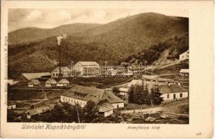 Kapnikbánya, Cavnic; Aranybánya telep. Kiadja Berger Miksa / gold mine plant (EK)