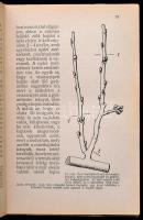 Dr. Bernátsky Jenő: A gyümölcskertészet elmei. Különös tekintettel a gyümölcsfák betegségei elleni v...