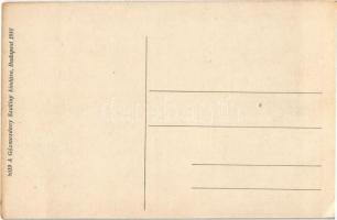 A MÁV 322. sor. III. osztályú 4 hengerű compound-rendszerű személyvonatú mozdonya és a 223. sorozatú...