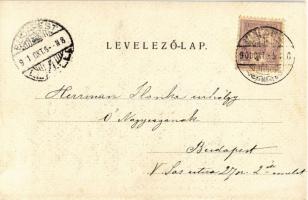 1901 Besztercebánya, Banská Bystrica; Kossuth Lajos utca torkolata, vár, Strelinger Samu üzlete, Fő ...