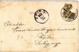 1905 Kolozsvár, Cluj; M. kir. Gazdasági tanintézet convictusa / economic school's boarding scho...