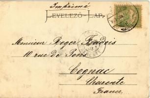 1903 Trencsén, Trencín; vár és a vasútállomás felvételi épülete. Kiadja Gansel Lipót 130. / Trencian...