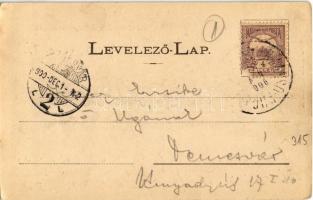 1900 Dicsőszentmárton, Tarnaveni, Diciosanmartin; utcakép. Jeremiás Áron kiadása / street view  (EK)