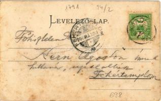 1908 Nagykárolyfalva, Károlyfalva, Karlsdorf, Banatski Karlovac; utcakép / street view (fl)