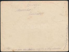 cca 1900 Trieszt, látkép a kikötővel, keményhátú fotó, sarkán törésnyom, 12×9 cm / Trieste, photo