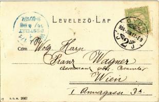 1904 Győr, Erzsébet tér, Fleischner zálog intézete, Birkmayer János üzlete (EK)