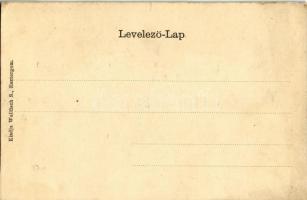 Esztergom, Esztergomi bazilika, előtérben Dunai hajómalom. Kiadja Wallfisch S. Szecessziós litho ker...