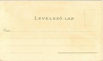 Vác, Fegyintézet, börtön, Siketnéma Intézet, Nagytemplom. Ottmar Zieher Art Nouveau, floral, litho (...