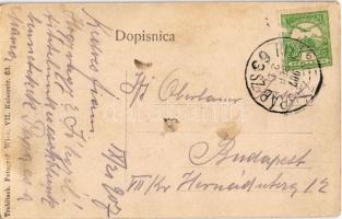 1907 Moravice, Komorske Moravice; vasútállomás, látkép, vagonok. Trebitsch Fotograf / railway statio...