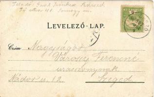 1907 Balatonszárszó, Halászat a Balatonon V. A halászok hazatérése (EK)