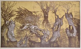 Németh András (1941- ): Holtág. Színes linómetszet, papír, jelzett, 30×50 cm