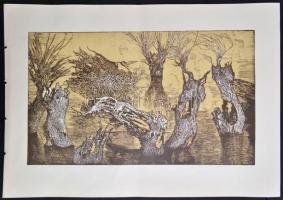 Németh András (1941- ): Holtág. Színes linómetszet, papír, jelzett, 30×50 cm