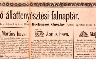 1866 Állandó állattenyésztési falnaptár, melléklet a "Falusi Gazda" 1866. évi folyamához, ...