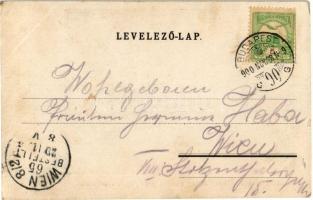 1900 Vác, Méltóságos Gróf Csáky Károly váci megyés püspök bevonulása (EK)