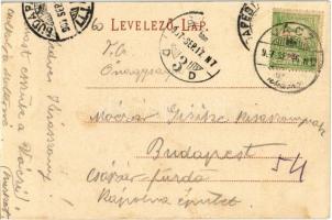 1907 Vác, Derecskei tó, fürdőzők