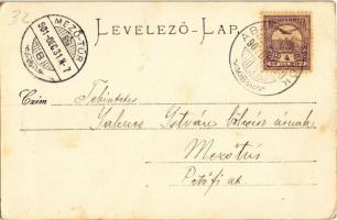 1901 Abádszalók, Gőzfűrész és őrlőmalom a Tiszapartról, Izraelita templom, zsinagóga. Kiadja Revilák...