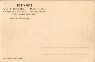 Dresden, Königsparade / Royal military parade