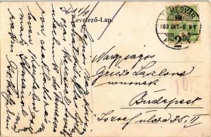 1909 Temesvár, Timisoara; Józsefváros, Dohánygyár és Béga részlet, montázs evezősökkel / Iosefin, to...