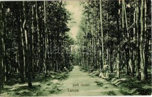 1908 Tarcsa, Tatzmannsdorf; Park részlet. Hegedűs Miksa kiadása / promenade in the park