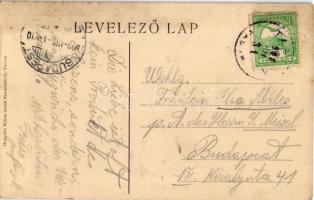 1908 Tarcsa, Tatzmannsdorf; Park részlet. Hegedűs Miksa kiadása / promenade in the park