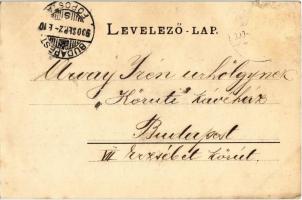 1900 Debrecen, Piac utca a Debreczeni Helyi Vasút Rt. (DHV) kisvasútjával, városi vasút, Rohner szál...