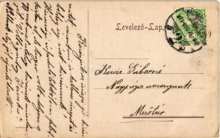 1913 Máramarossziget, Sighetu Marmatiei; Allegórikus élőkép a Kálvineum estén június 22-én. Hoffmann...