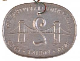 1949. 2Ft "A Lánchíd ujjáépítéséért 1849-1949" Al bárca (40x53mm) T:2 / 
Hungary 1949. 2 ...