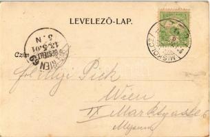 1901 Alsóhámor, Alsó-Hámor (Miskolc), utcakép. Ferenczi B. kiadása (EB)