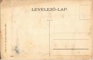 1906 Ercsi, utcakép Frank Károly üzletével. Kiadja Frida és Társa (fl)