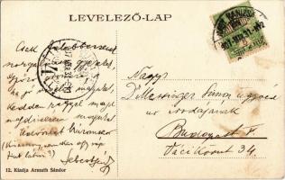 1907 Nagykanizsa, Erzsébet királyné tér, Gyógyszertár, piaci árusok, Fischer Ferenc, Singer József é...