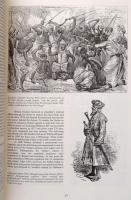 Peter Abbott: Colonial Armies in Africa 1850 to 1918. Organisation, warfare, dress and weapons, 229 ...