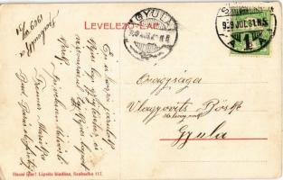 1909 Szabadka, Subotica; Vasútállomás. Haza ipar! Lipsitz kiadása / Bahnhof / railway station  (EK)